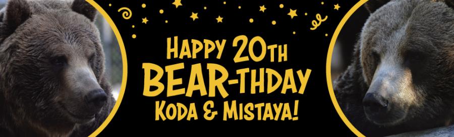 bear birthday message