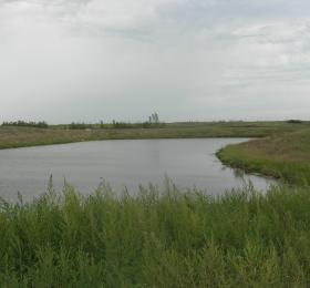 Northeast Swale