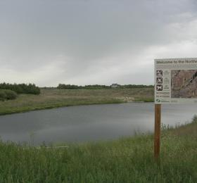 Northeast Swale