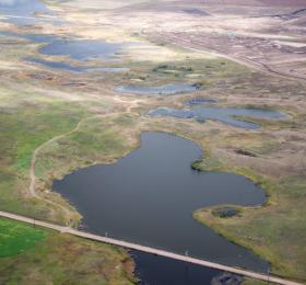 Northeast Swale