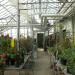 City Greenhouses with Plants