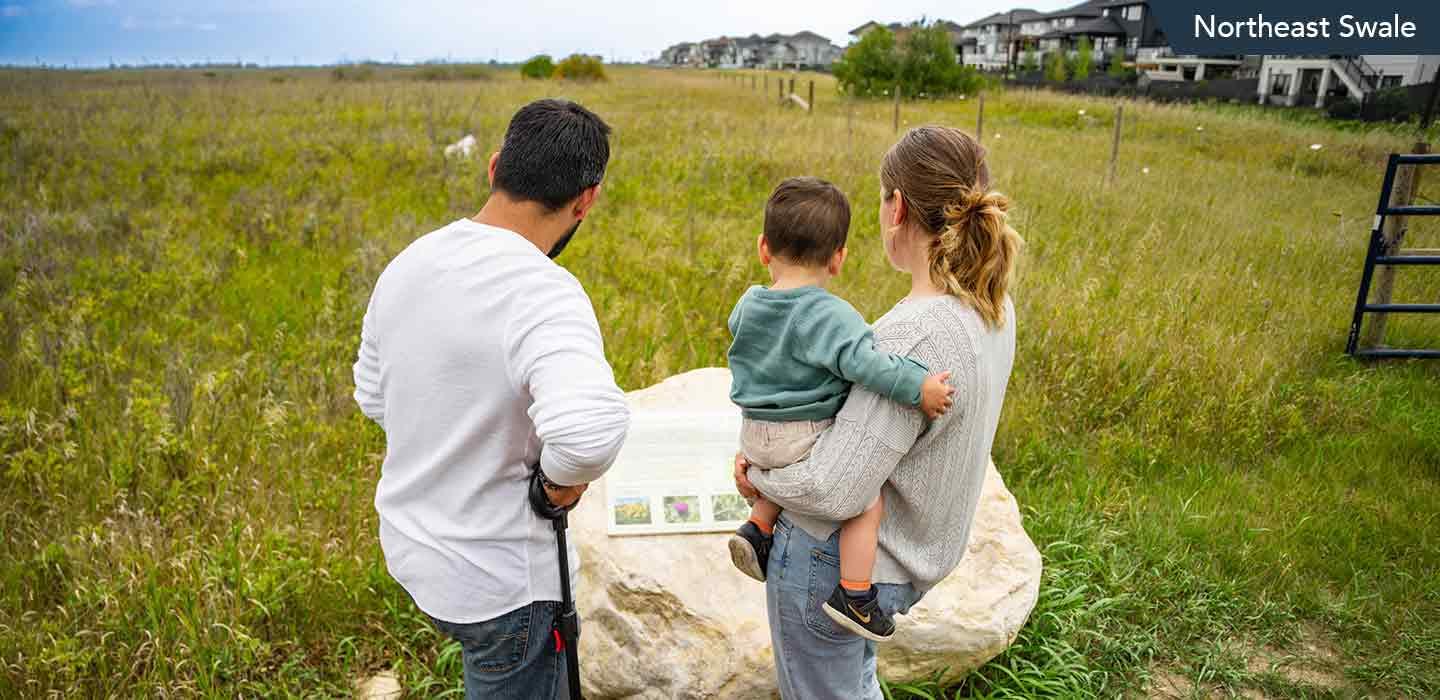 family enjoying northeast swale