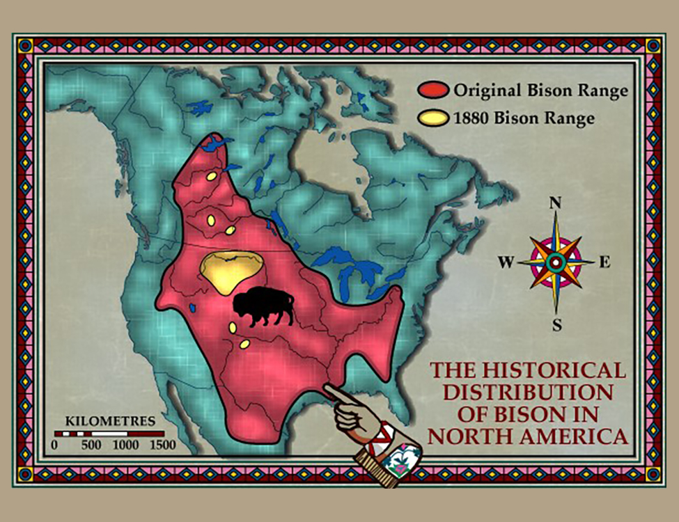 The Historical Distribution of Bison in North America